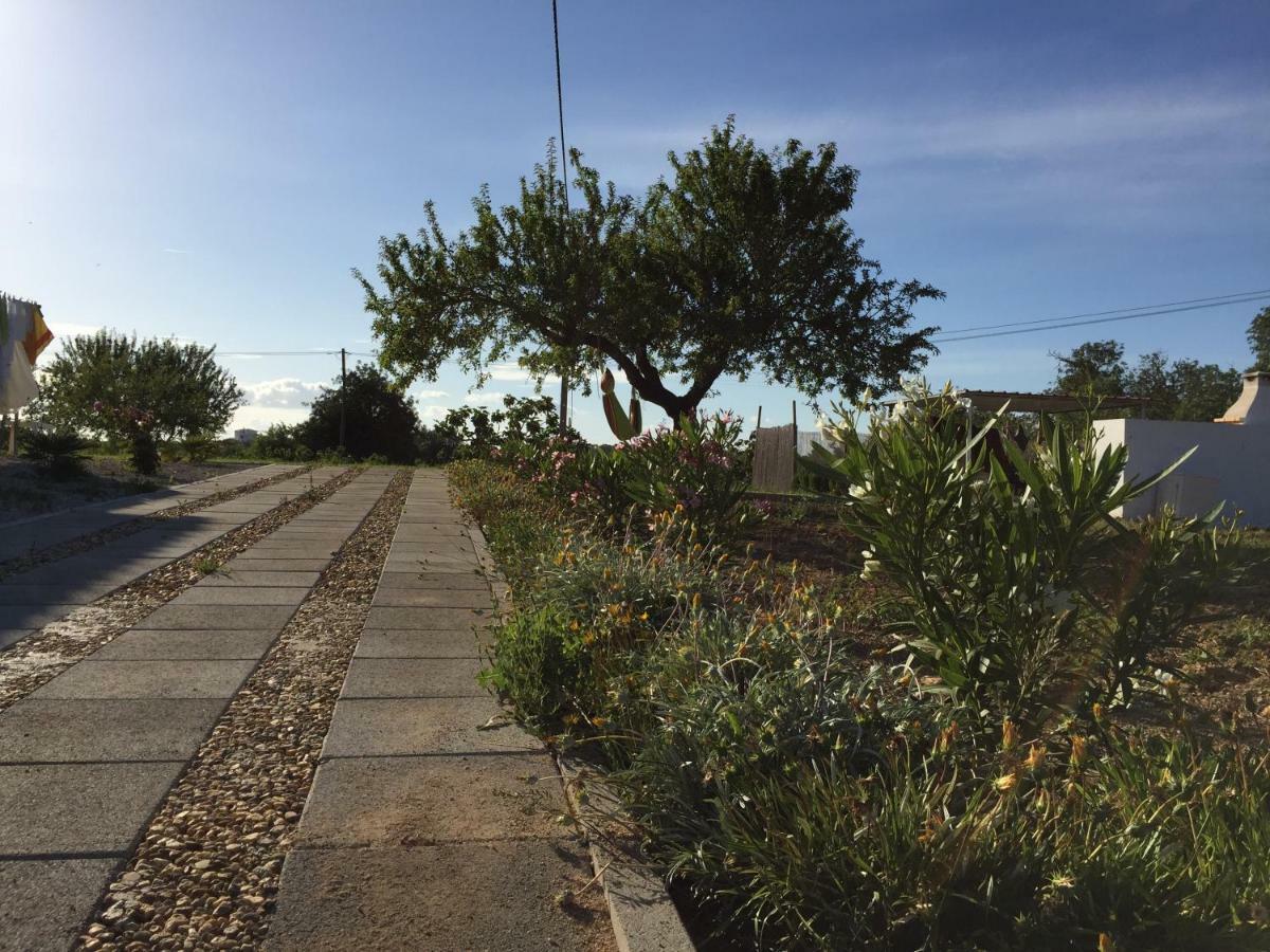 Solar Da Cotovia Villa Albufeira Exterior photo